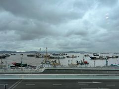 -高佳庄·舟山海鲜(海景旗舰店)