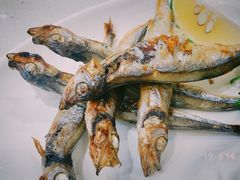 -新一番三文鱼寿司(大东海店)