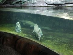 -左海海底世界
