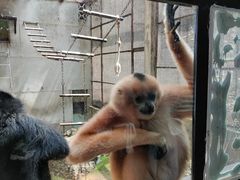 -昆明动物园