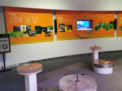 -陕西自然博物馆