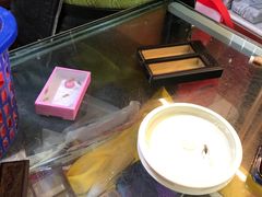 -万商花鸟市场