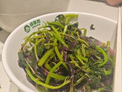 -绿草地·湘菜(芙蓉天街店)