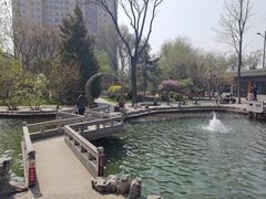 -碑林公园