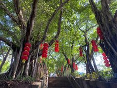 -丰都鬼城名山景区