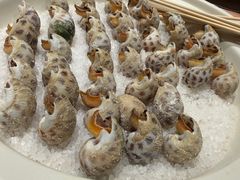 -勝記酒家·37年老字号·经典粤菜(荔枝公园店)