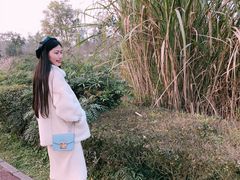 -白鹭湾湿地公园