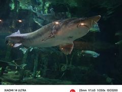 -华夏文旅西安度假区