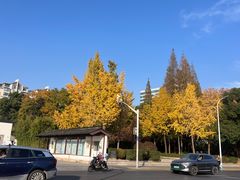 -西林禅寺