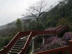 -广州市石门国家森林公园