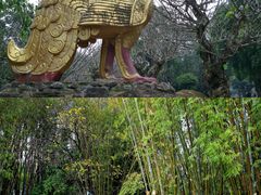 -云南勐巴娜西珍奇园