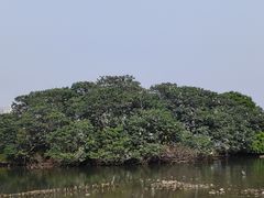 -海珠湖公园