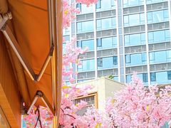 -首开·龙湖成都西宸天街