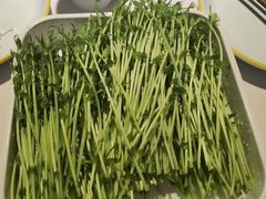 活体豆苗-渝蛙先生领鲜美蛙老火锅