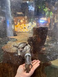 -Zoolung Zoolung动物主题公园(海信广场店)