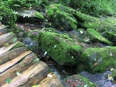 -陕西省红河谷森林公园