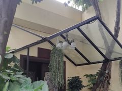 -金河半岛园林酒家(金融城店)