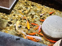 -颐和•海鲜砂锅粥•啫啫煲(奥林匹克广场店)