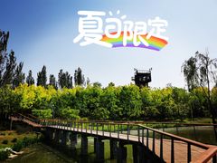 -东郊湿地公园