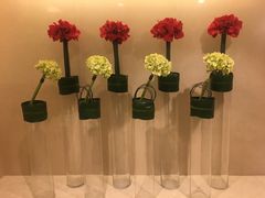 -香港皇家太平洋酒店