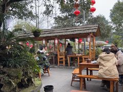 -青城甲(青城山店)