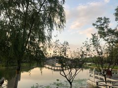 -西海子公园