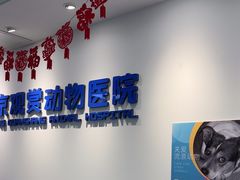-北京观赏动物医院·24小时大型综合·猫专科·异宠专科