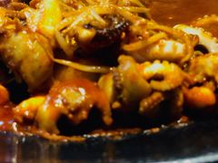 -红辣椒八爪鱼特色韩国料理