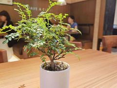 -CURRY YA 熟成咖哩專門店(深圳湾万象城店)