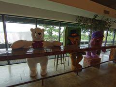 -济州岛泰迪熊博物馆