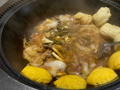 -桃源村铁锅炖鱼(体育馆道店)