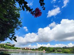 -南国桃园旅游度假区