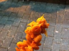 -新永兴美食坊