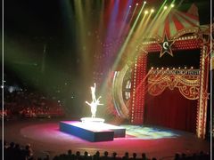 -珠海横琴长隆《卡卡虎奇遇记》