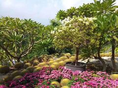 -雁鸣湖休闲公园-停车场