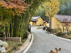 -莫干山风景区