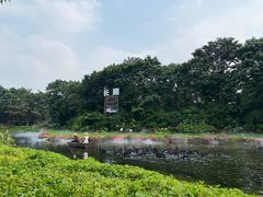-广州长隆飞鸟乐园