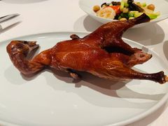 首创昆明BB乳鸭-东富酒家(龙湖西溪天街店)
