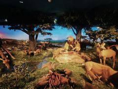 -国家自然博物馆