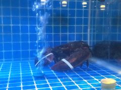 -辣螃铠盆盆蟹大排档(海昌店)