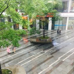 -INS羽毛接发·巴黎画染