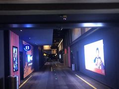 -万达影城(闵行颛桥万达广场杜比影院店)