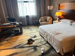-西安赛瑞喜来登大酒店