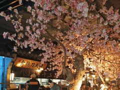 -桂满陇-西湖船宴(西单大悦城店)