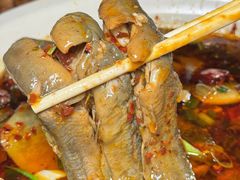 -情妹耙泥鳅·江湖川菜(科华店)
