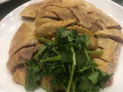 -瑞记湛江鸡饭店·粤西第一鸡(粤垦店)