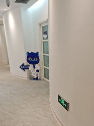 -天津伊美尔医疗整形美容专科医院