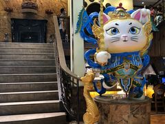 -more than meow吴止猫主题餐厅(承德 中船汇店)