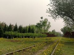 -永定河休闲森林公园