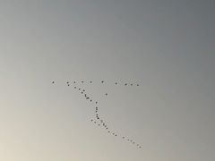 -东疆建设开发纪念公园